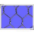 hexagonal wire mesh